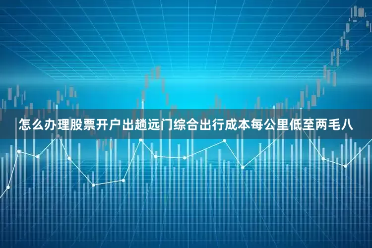 怎么办理股票开户出趟远门综合出行成本每公里低至两毛八