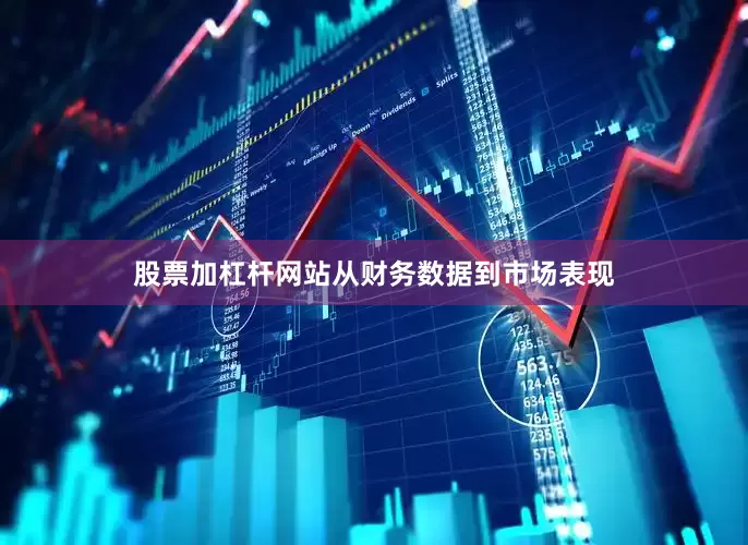 股票加杠杆网站从财务数据到市场表现