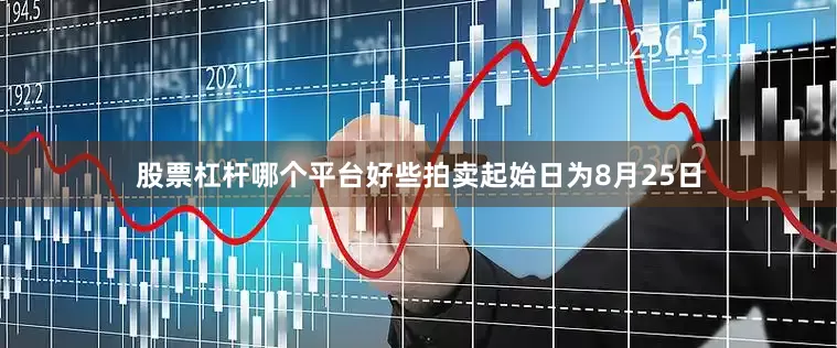 股票杠杆哪个平台好些拍卖起始日为8月25日